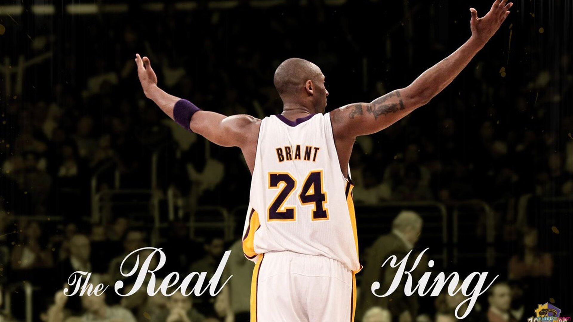 名人网球配对赛 歌手+体育明星组合引发粉丝关注